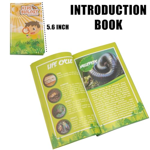 Insect Specimen Set, Bugs Collection Scientific Education Gift for Kids Aged 3-8-12 (Millipede, Centipede, Dragonfly Larvae, Tea Seed Bug, Red Longhorn Beetle, Spiny Spider) - style: Millipede, Centipede, Dragonfly Larvae, Tea Seed Bug, Red Longhorn Beetl