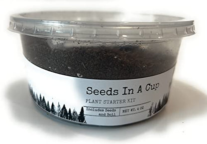 Seeds in A Cup - Plant Growing Kit (Eggplant) - style: EggPlant