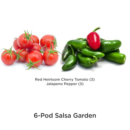 AeroGarden Salsa Garden Seed Pod Kit, 6-Pod - size: 6-pod - All AeroGardens
