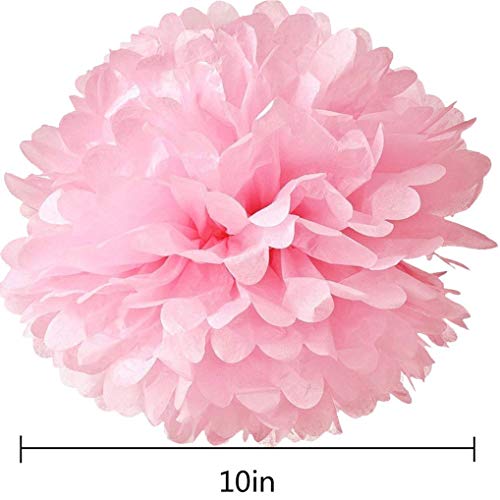 10pcs Tissue Hanging Paper Pom-poms Flower Ball Wedding Party Outdoor Decoration, Hmxpls Premium Tissue Paper Pom Pom Flowers Craft Kit(Pink) - color: pink