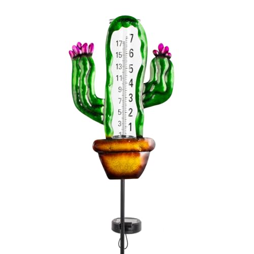Stargarden Solar Rain Gauge Outdoor, Cactus Solar Powered Rain Gauge - color: Cactus