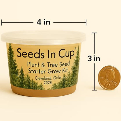 Black Locust Tree Starter Kit - Easy-to-Use, Educational, Great Gift - Made in USA - style: Locust