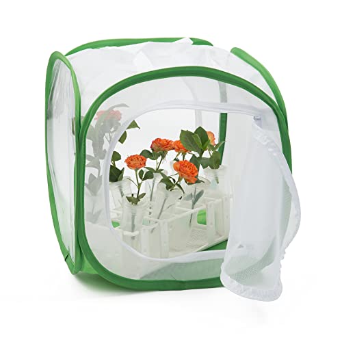 Two Doors Monarch Butterfly Habitat, Insect Mesh Cage, Caterpillar Enclosure Terrarium Pop-up (12 X 12 X 12 Inches) - size: 12 X 12 X 12 Inches