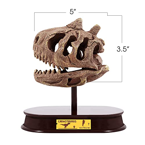 ArtCreativity Dinosaur Excavation Kit, 5-Inch Carnotaurus Skull Toy & Stand - style: Carnotaurus