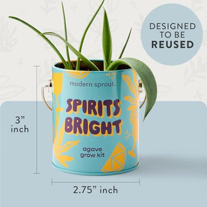Modern Sprout Complimentary Color Grow Kits - Seed Starter Kit, Pack of 3 - size: Pack of 3