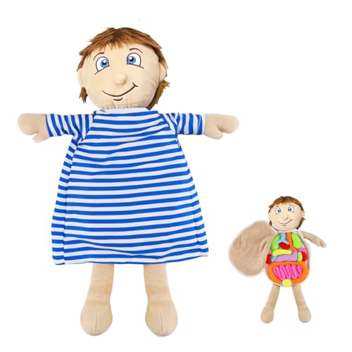 Vocheer Human Body Anatomy Toy, Montessori Preschool Educational Plush - color: Blue