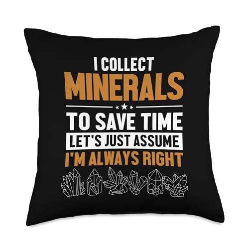 Best Rocks And Minerals Guide Kit Collection Gifts Let's Assume I'm Right Geologist Mineral Collector Throw Pillow, 18x18, Multicolor - size: 18x18