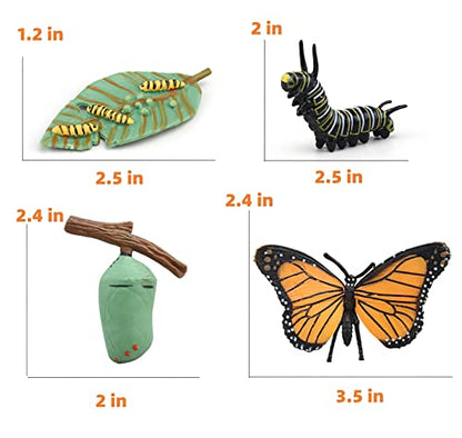 Montessori Life Cycle Learning & Education Toys, Plastic Insect Ladybug Monarch Butterfly Tadpole to Frog Kit, Preschool Learning Activities - color: Butterfly Frog Ladybug