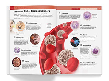 Knowledge Encyclopedia Human Body (Knowledge Encyclopedia For Children)