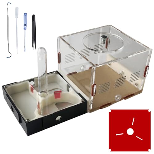 Ant Farm Nest Science DIY Terrarium Kit Care for Live Ants Ant Habitat with Water Tower Nurturing Room and Comprehensive Observation-Set 1 - size: 1