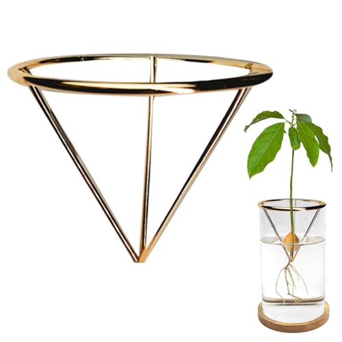 Avocado Starter Rack - Triangular Root Germination Bracket | Avocado Root Propagation Rack,for Home Landscape Garden Living Room Bedroom Balcony Backyard Patio Greenhouse - color: Gold