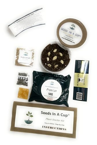 Birch Tree | Seed Starter Grow Kit | Seeds in A Cup® - style: White Birch