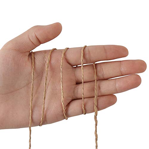Tenn Well 328ft 2mm Paper String Raffia Ribbon for Gift Wrapping