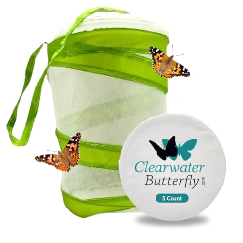 5 Live Painted Lady Caterpillars to Butterflies Kit, Mesh Cage Included - size: 5 Caterpillars with Cage