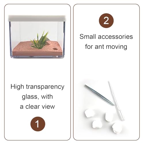 La La Pet Ant Farm Box Detachable Breeding Boxes Plaster Ant Home for Students Study Ant Behavior Observation Educational Formicarium Ant Nest Farm