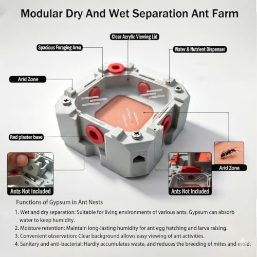 Ant Farm Nest Kit – DIY Science Terrarium with Water Tower, Nurturing Room & Large Observation Area for Live Ants (Ant Nest A) - color: Grey5