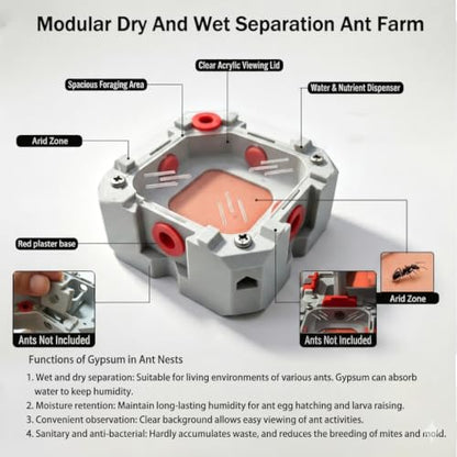 Ant Farm Nest Kit – DIY Science Terrarium with Water Tower, Nurturing Room & Large Observation Area for Live Ants (Ant Nest A) - color: Grey5