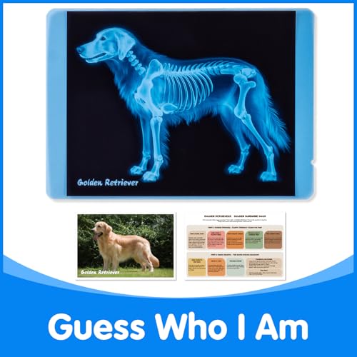 Pet Series Animal Xrays for Kids - Light Table Manipulatives - style: Pet Series
