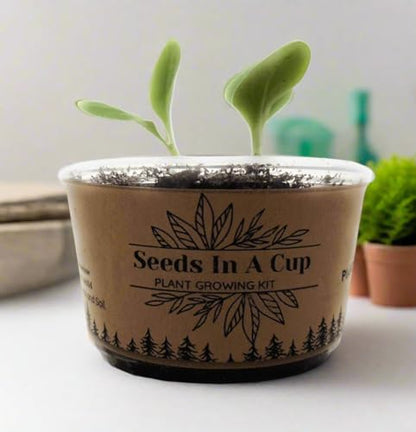 Rhubarb Vegetable Seed Starter Grow Kit, Made in USA, All-in-one Seed Starter Kit Seeds In A Cup® Come with Our Seeds Growth Promise.
