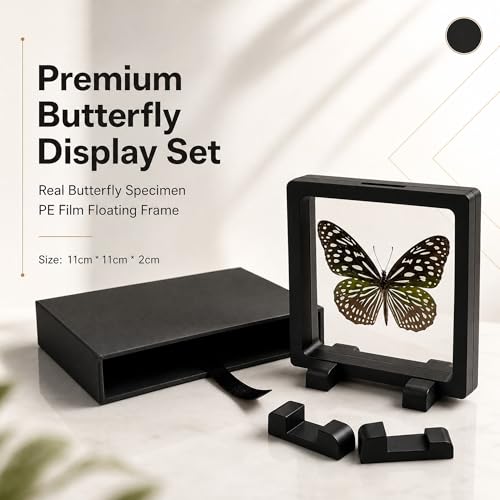 1pc 3D Suspension Frame with Real Butterfly Specimen Protective PE Film Box Creative Home Decor Collectible (Tirumala limniace Butterfly) - color: Tirumala Limniace Butterfly