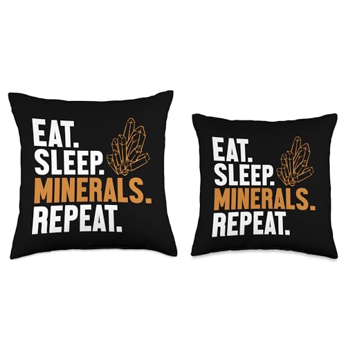 Best Rocks And Minerals Kit Guide Collection Gifts Eat Sleep Repeat Geologist Mineral Collector Throw Pillow, 18x18, Multicolor - size: 18x18