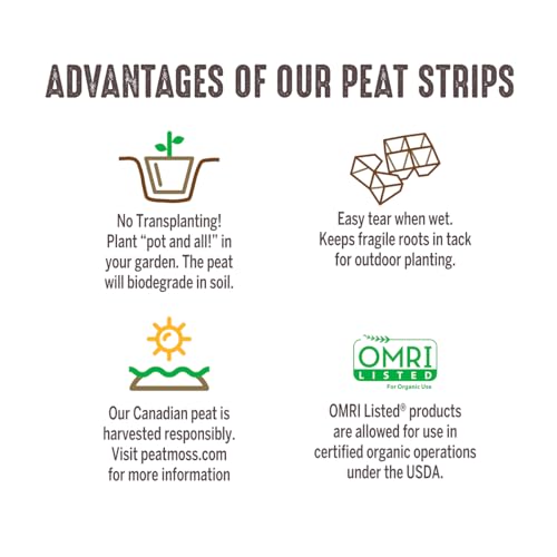 Jiffy Seed Starting Tray - Biodegradable, Plant Germination Cells - 20 Strips (200 Cells) - Peat - color: 20 Strips (200 Cells Total)
