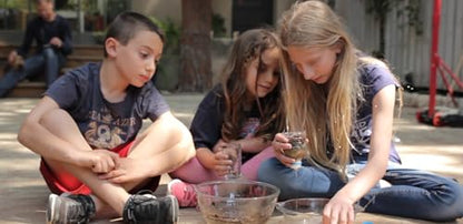 The Famous Crazy Scientist Lab - Young Survivor, Science Kits from The Lab - Survival Skill Box. Kids Science Kits. STEM Educational Games for Kids, Young Survivor Skills, 191 - style: Young Survivor Skills