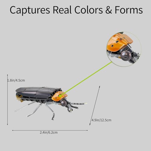 3D Acrylic Insect Puzzle DIY Bug Model Kit Animal STEM Gift - color: Firefly