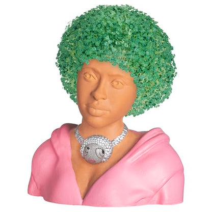 Chia Pet Ice Spice with Seed Pack and Drip Tray: Living Product Ice Spice Decorative Pottery Planter, Easy to Grow Indoor Live Plant, Novelty Gift, Home Décor Planting Kit, Perfect for Any Occasion - style: Ice Spice