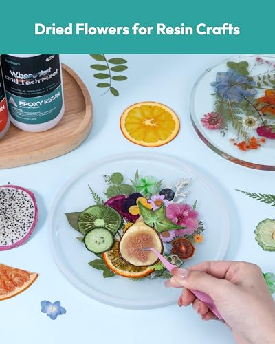 Resiners Dried Pressed Flowers for Resin Molds Scrapbook Supplies - color: Bright Fruit 80pcs