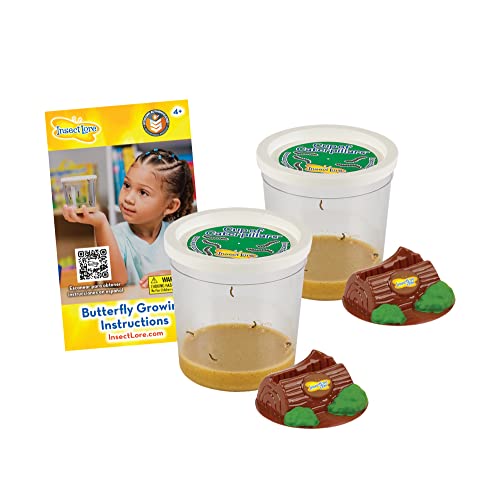 Insect Lore Two Cups of Caterpillars - Butterfly Garden Kit Refill – Raise and Release Painted Lady Butterflies – Includes Two Chrys-A-Lid Holding Logs and Instructions