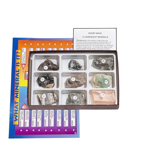 2381 Rocks & Minerals Short Wave Fluorescent Minerals – 9 Specimens for Earth Science & Geology, STEM Education Kit for Classroom & Homeschool Science