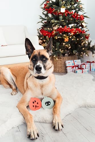 Pearhead Pet Christmas Clean Touch Ink Pad Kit for Dogs and Cats - color: Christmas Clean-touch Ink Pad Noseprint Kit, size: 1-Pack
