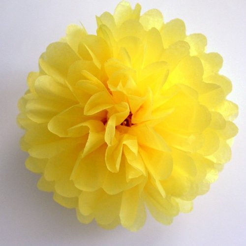 10pcs Yellow Tissue Hanging Paper Pom-poms, Hmxpls Flower Ball Wedding Party Outdoor Decoration Premium Tissue Paper Pom Pom Flowers Craft Kit - color: yellow