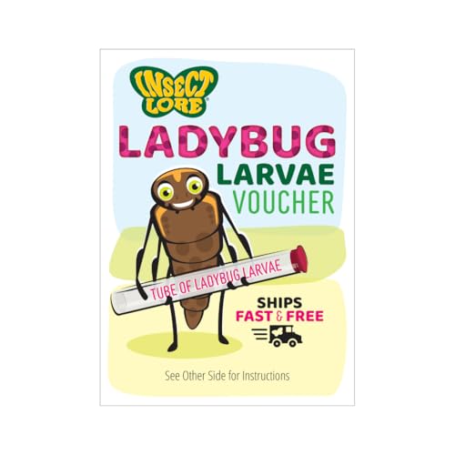 Insect Lore Ladybug Land with Prepaid Voucher - Redeem Voucher for 10-15 Native Ladybug Larvae - Diorama Style Ladybug Habitat for Kids - Observe, Raise, & Release Adult Ladybugs