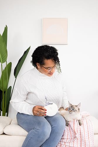 Pearhead Pet Paw Print Keepsake Ornament Kit, No-Bake Clay Kit - color: Clay Pawprint Kit, 3 Ribbons, size: 1-Pack