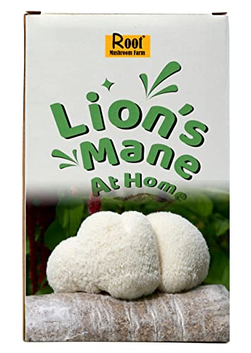 Lion’s Mane Mushroom Grow Kit, 4 lb (Packaging May Vary) - style: one kit