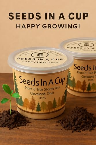 Sugar Maple Tree Kit - Grow Your Own Indoor/Outdoor Seed Starter