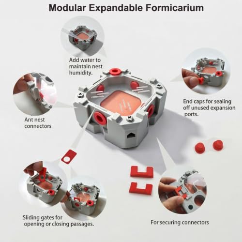 Ant Farm Nest Kit – DIY Science Terrarium with Water Tower, Nurturing Room & Large Observation Area for Live Ants (Ant Nest A) - color: Grey5