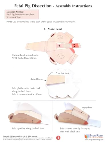 NewPath Fetal Pig Dissection 3-D Paper Model Making Kit - Individual Student Edition (17-7740)