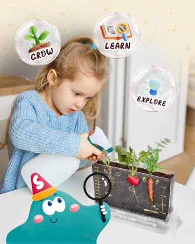 Root Viewer Kit for Kids with 6 Seed Varieties - STEM Science Kits for Kids Age 5-7, 8-12 | Perfect Christmas, Easter, Birthday Gift & School Gardening Project | Learning Educational Gardening Toys
