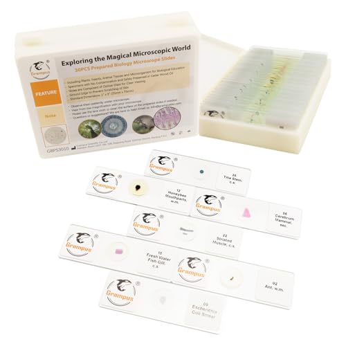 30 Prepared Microscope Slides with Specimens for Kids Students - Animals Plants Insects Microorganism, for Biological Science Lab, Children's Science Education, Homeschool - style: 30PCS Mixed