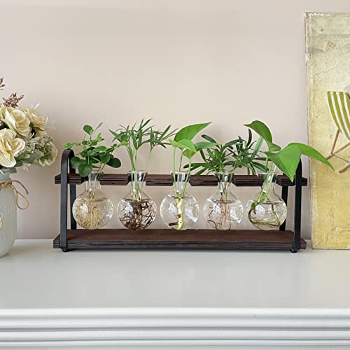 5-Bulb Plant Propagation Station, Glass Vase Terrarium, Wood Metal Stand - color: Dark Brown