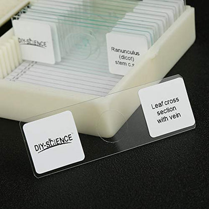 Prepared Microscope Slides Set for Apologia Biology, Pack of 16pcs Specimens Specifically for Biology Course (Apologia Slides) - style: for Apologia Biology Microscope Slides