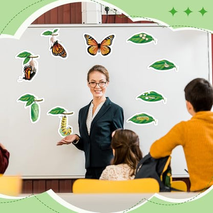 Relaxweex 9 Pcs Magnetic Butterfly Life Cycle Toys for Kid Caterpillar to Monarch Butterfly Growth Cycle Toy Insect Figures for Kids Education Preschool Classroom Insect Themed Teaching Tools Supplies