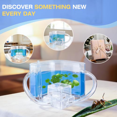 Ant Nest, Ant Habitat Kit