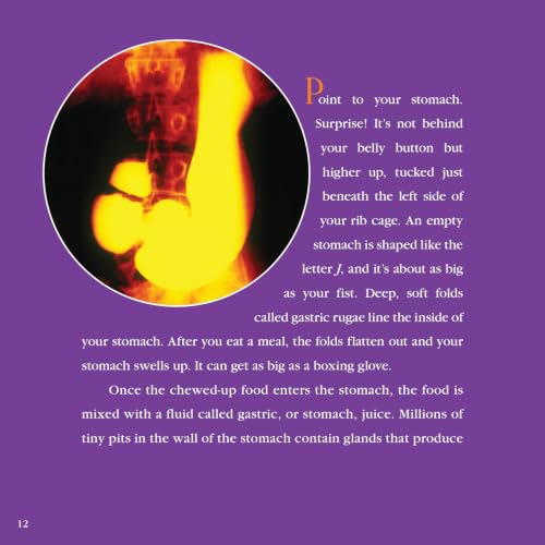 Guts: Revised Edition – Exploring How Food Becomes Energy in the Digestive System for Kids (Ages 6-10)