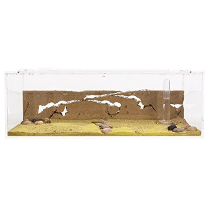 Sand Ant Farm Big - Anthill, Formicarium, Educational, Ants -