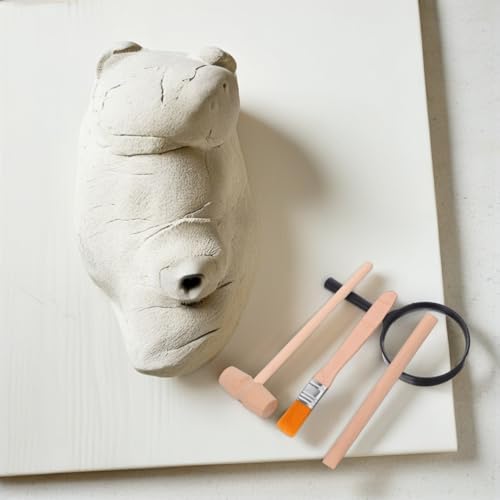 Angoily 3 Sets of Excavation Tools: Archaeological Dig Tool for Kids, Dinosaur Digging Kits with Hammer Chisel Brush Scraper and Magnifier for Dinosaur Science Kits and Gem Discovery (Pack of 2) - size: 14.00X4.00X2.00CM (Pack of 2)