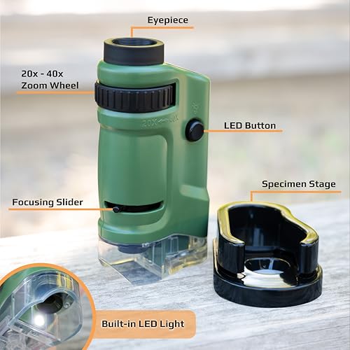 Carson MicroBrite 20x-40x LED Lighted Pocket Microscope for Learning, Education and Exploring - Set of 6 (MM-24MU) - size: Pack of 6